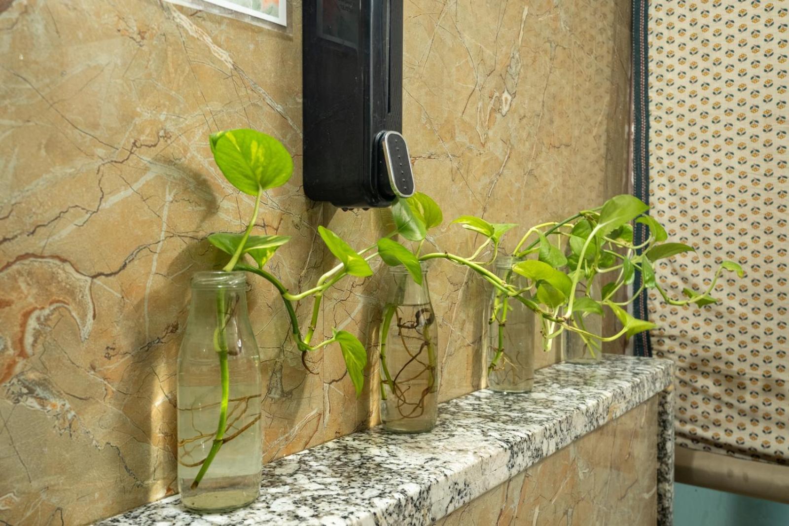 جايبور Anandmai - Sustainable Living Spaces المظهر الخارجي الصورة